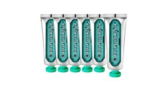 치약 공공연한 비밀! 필수보유득템 구매하자