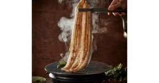 장어 나만 보고 싶은 최강 구매가이드