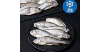 조기 최고의 마음에 드는 추천!추천해요!