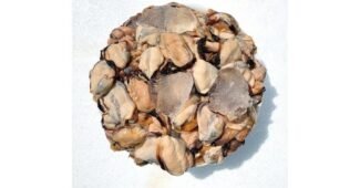 홍합 대신 선택해 드립니다! 신뢰가 쌓이는 셀링포인트