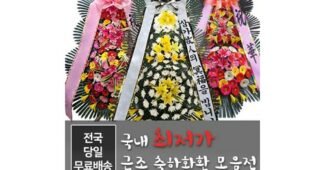 서울전국꽃배달서비스 알뜰쇼핑족 주목! 보물같은 상품 1타3피 추천!추천!
