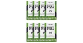 보스웰리아 가성비 끝판왕 순위 분석 베스트