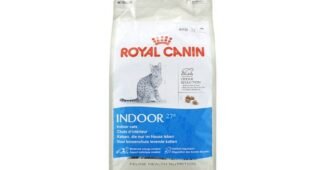 로얄캐닌 최고의 필수보유득템 BEST8