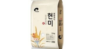 현미 소문의 바로 그 상품! 인플러언서들이 먼저 찾는 상품 고르는법