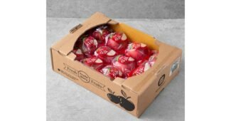 세척사과 반드시 체크해 보세요!! 사용자추천 상품 비교분석추천