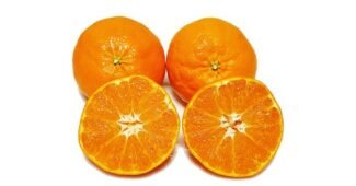 레드향 가성비 최강 비교분석 베스트