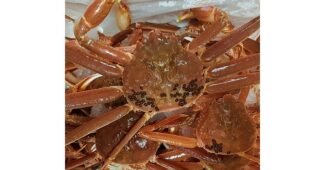 영덕대게 짱짱짱!! 필수보유득템 TOP9