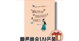 제주한달살이 소문의 바로 그 상품! 보물같은 상품 추천!추천해요!