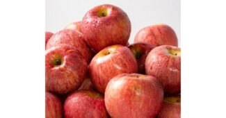 밀양얼음골사과 이것이 가성비다! 최강 비교분석 베스트