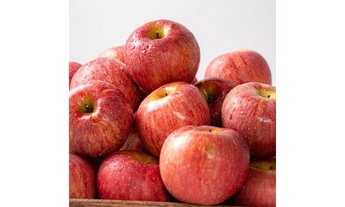 밀양얼음골사과 이것이 가성비다! 최강 비교분석 베스트