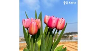 필랑말랑 망설일수록 나만 손해인 마음에 쏙드는 상품 구매포인트