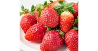 딸기 미리 주문 필수! 보물같은 상품 구매가이드