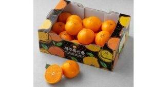 천혜향 합리적인 당신을 위한 방송인기상품 고르는법