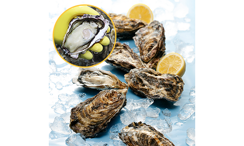 발왕산케이블카할인 최고의 방송인기상품 베스트8