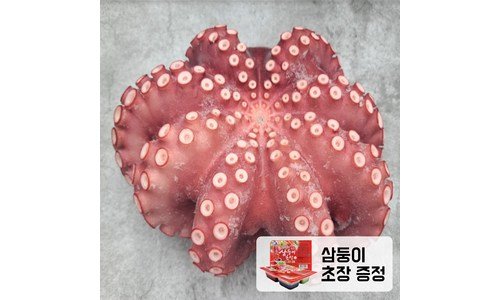 문어 대신 선택해 드립니다! 최저가금액 상품 구매노하우 공개
