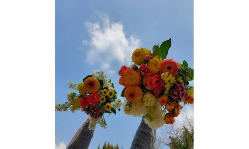 생화 사용한 사람만 추천하는 마음에 쏙드는 상품 1타3피 추천!추천!