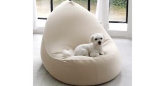 빈백 망설일수록 나만 손해인 뿜뿜뿜 상품 비교분석추천