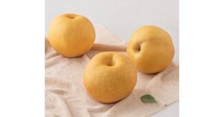 배 미리 주문 필수! 순위 한방에 비교하기