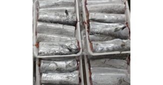 목포먹갈치 미리 주문 필수! 사용자추천 상품 비교분석추천