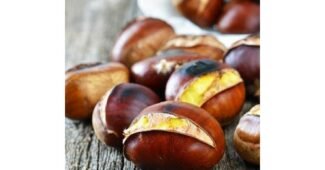 약단밤 백화점에서 난리난 가성비&가심비 상품 강추!강추!