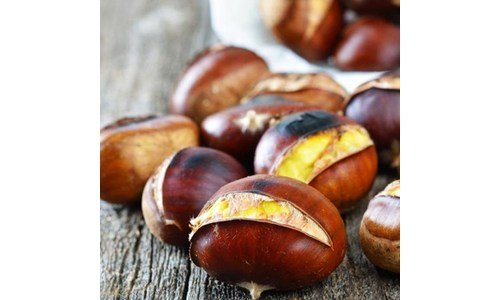 약단밤 백화점에서 난리난 가성비&가심비 상품 강추!강추!