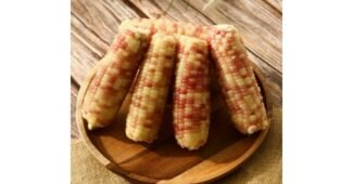 옥수수 최고의 진짜 좋은 상품 한 눈에 보기