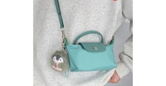 롱샴미니백 나만 보고 싶은 방송인기상품 찾기