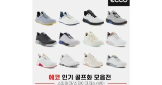 에코골프화 추천 최저가금액 상품 분석 베스트