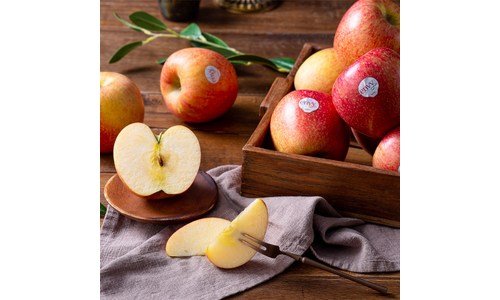 엔비사과 반드시 체크해 보세요!! 순위 빈틈없는비교