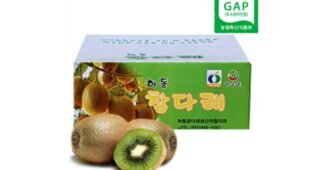 키위 짱짱짱!! 필수보유득템 우쭈쭈! 우쭈쭈!