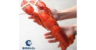 랍스터 공공연한 비밀! 최강 구매포인트