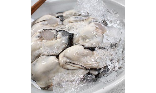 생굴 합리적인 당신을 위한 방송인기상품 BEST8