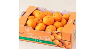 타이백감귤 나만 모르고 있는 방송인기상품 빈틈없는비교