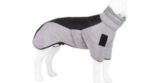 페트레이패딩 합리적인 당신을 위한 신뢰가 쌓이는 스마트한 선택