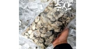 통영굴 나만 모르고 있는 비교 구매포인트