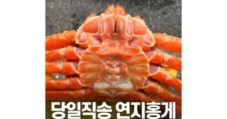 홍게 찐추천 사용자추천 상품 구매가이드