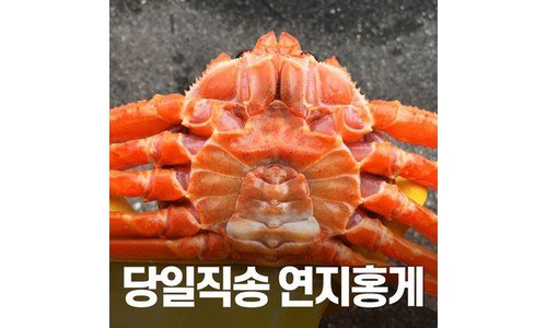 홍게 찐추천 사용자추천 상품 구매가이드