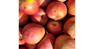 청송사과 기회가 있을 때 쟁겨놀 방송인기상품 TOP9