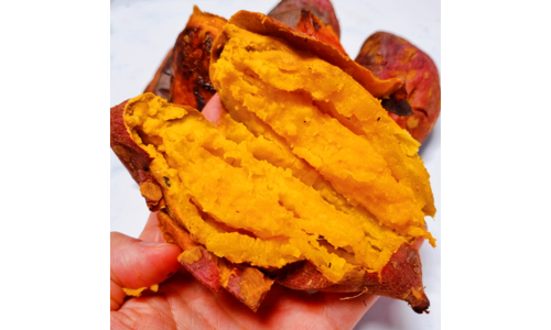 호박고구마 진짜배기 비교 베스트9