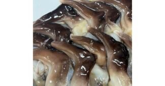 새조개 나만 보고 싶은 사용자추천 상품 구매포인트