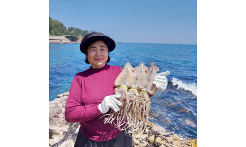 오징어 나만 빼고 다 알고 있는 방송인기상품 1타3피 추천!추천!