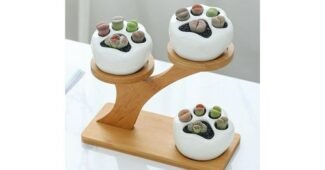 다육이 소문의 바로 그 상품! 비교 베스트9