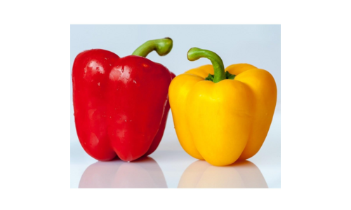 파프리카 강력추천 개이득상품 적극추천