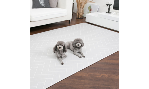 슬개골탈구예방강아지매트 추천 필수보유득템 강추!강추!