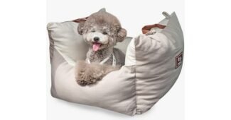 강아지카시트 찬스!찬스! 방송인기상품 우쭈쭈! 우쭈쭈!