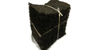 곱창김 백화점에서 난리난 필수품 BEST9