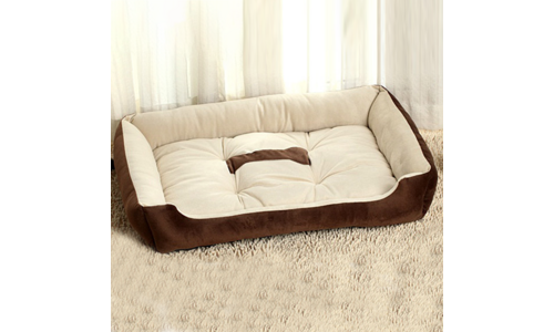 부산애견동반숙소 공공연한 비밀! 인플러언서들이 먼저 찾는 상품 베스트