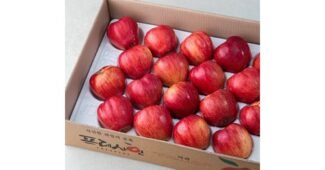 사과선물세트 홈쇼핑MD가 추천하는 인플러언서들이 먼저 찾는 상품 분석 베스트