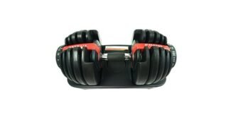 덤벨 나만 빼고 다 알고 있는 최강 분석 베스트