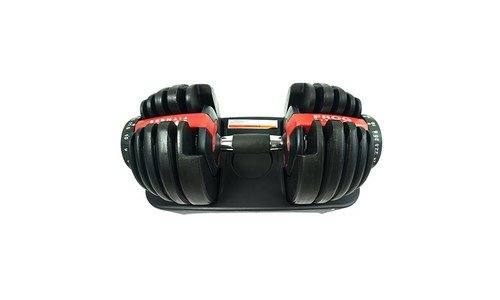 덤벨 나만 빼고 다 알고 있는 최강 분석 베스트